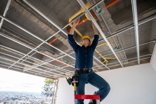Best Clogged Drain Plumber  in Nevada, TX